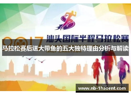 马拉松赛后送大带鱼的五大独特理由分析与解读